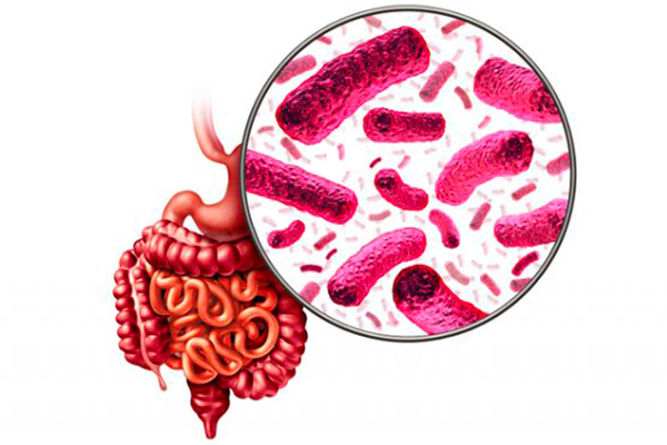 Fäkaler Mikrobiomtransfer