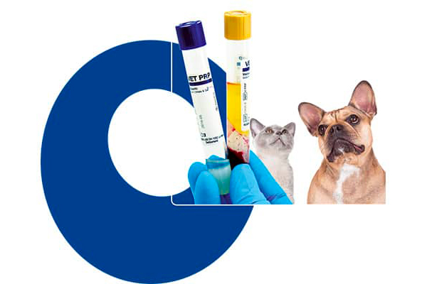 Plasma riche en plaquettes