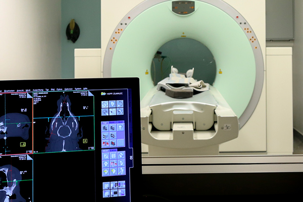 Premier scanner vétérinaire au Luxembourg